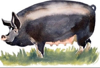 Half Hog Share-June 2025-Price Includes Processing
